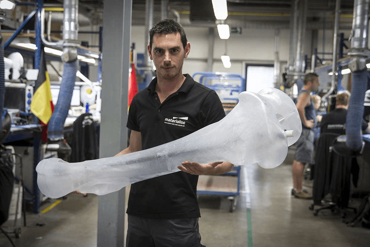 Mammoth 3D-Printing Job