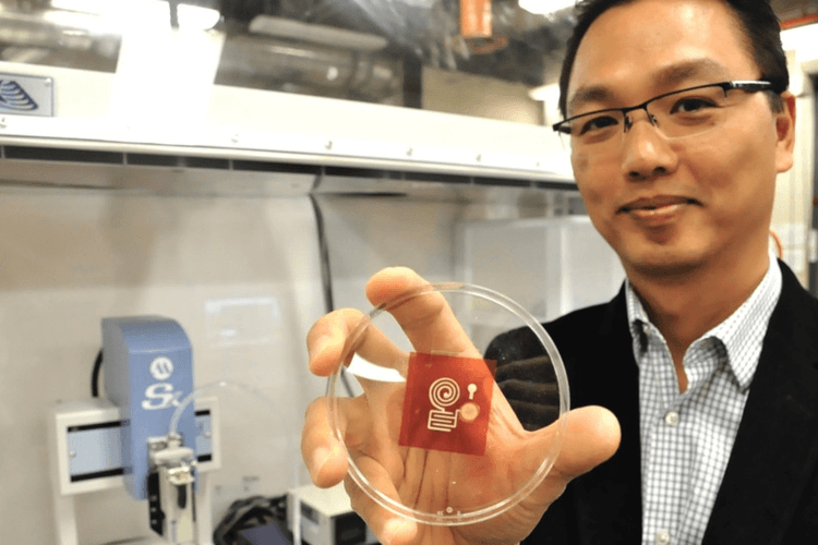 Researchers Develop Cellulose-Based, 3D Printed IoT Sensors