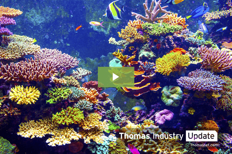 Engineers Use 3D Printing to Speed Up Coral Reef Recovery