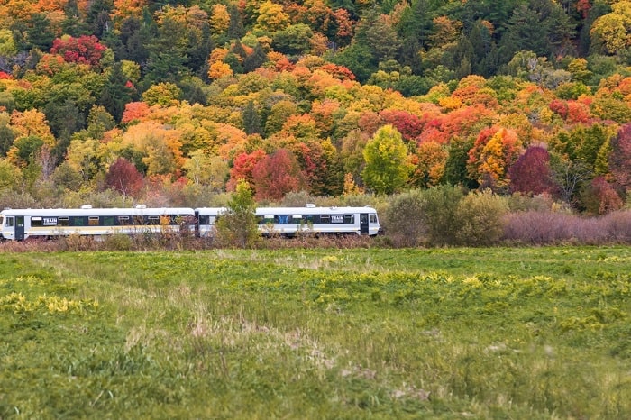 Image Credit: Shutterstock/Anne Richard