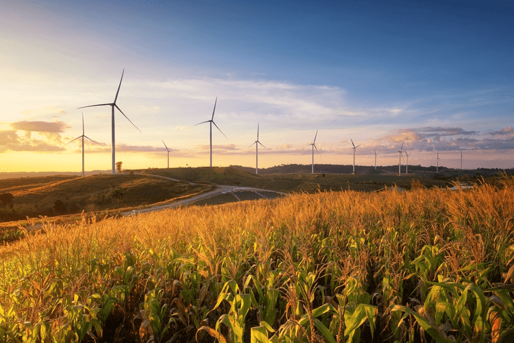 Wind Power Becoming More Cost-Effective