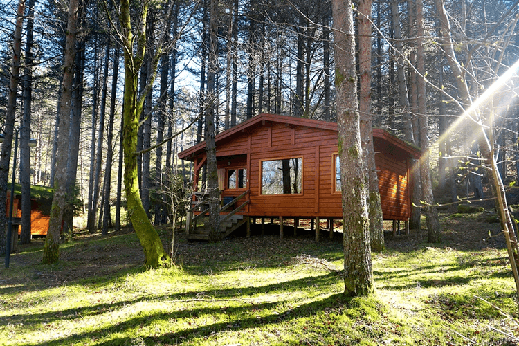 Winterizing Your Log Home