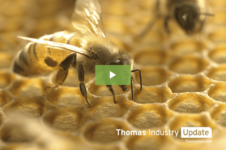 Can These Smart Sensors Save the Honey Bees?