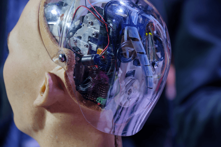 Do Robots Learn or Are They Merely Programmed?