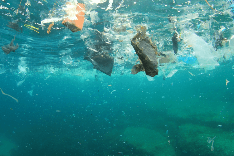 Stemming the Plastic Tide: Corporate Responsibility and Ocean Pollution Solutions
