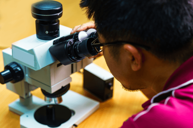 Understanding Metallurgical Failure Analysis