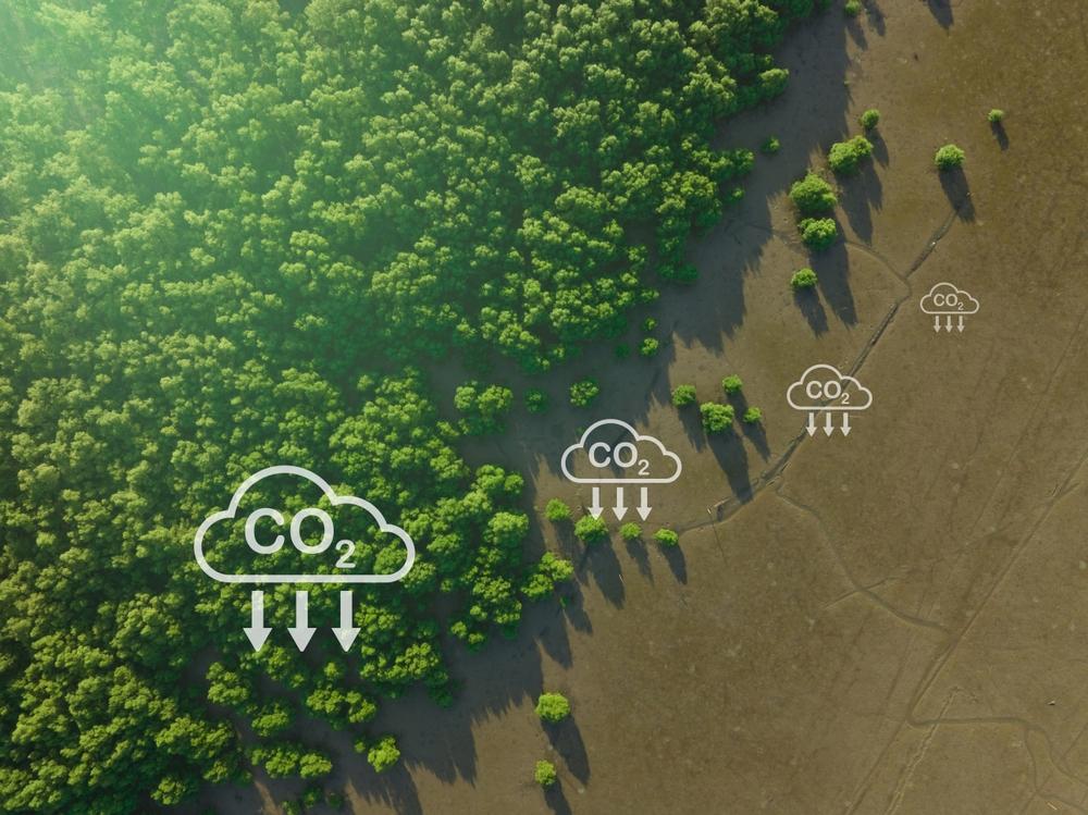 3M to Develop Material to Trap, Remove Carbon Dioxide
