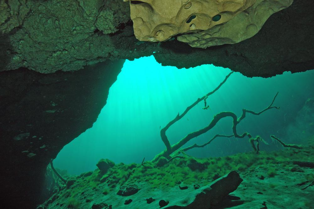 Norway Announces Plan to Mine the Sea Floor