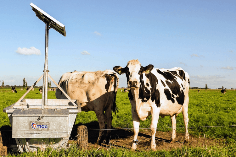 Pasteurization and Refrigeration for Milk and Dairy Products