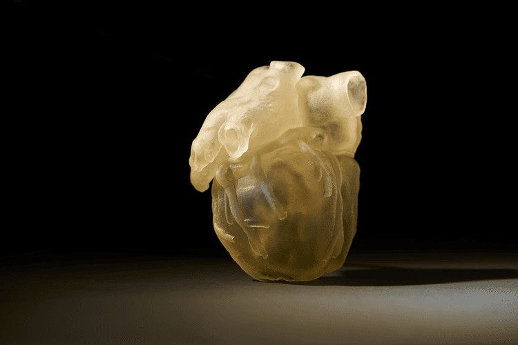 3D Printed Parts May Soon Replace Cadavers