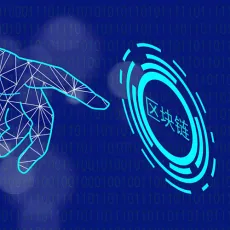 Blockchain-Enabled Edge Devices