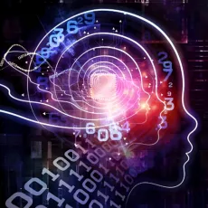 Deep Learning Accelerators