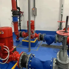 Emergency Pumps and Drainage Systems