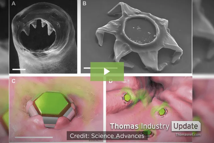 Hookworm-inspired Robots Improve Drug Delivery