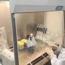 Laminar Flow Hoods (Biosafety Cabinets)