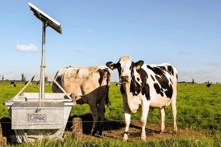Pasteurization and Refrigeration for Milk and Dairy Products