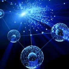Quantum Interferometers