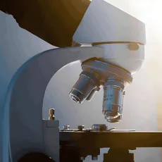Scanning Electron Microscopes (SEM)