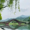Siri Yang “WeaveLogic”