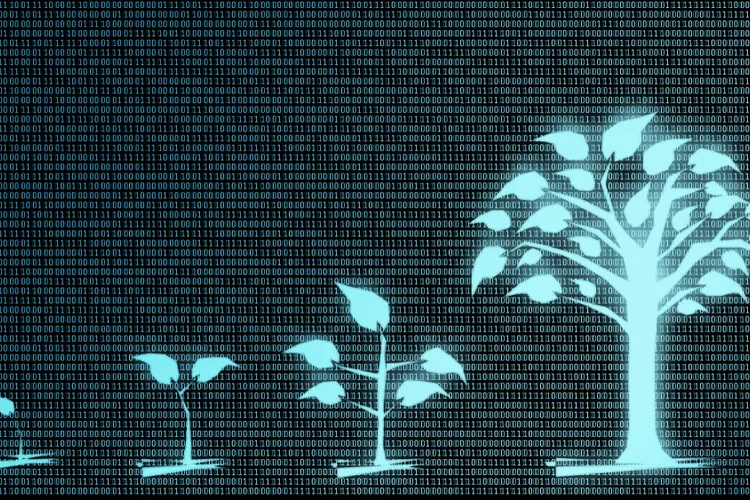 The Truth About Blockchain&rsquo;s Impact on the Environment