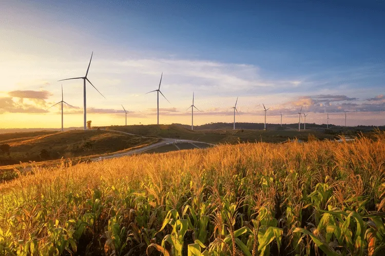 Wind Power Becoming More Cost-Effective