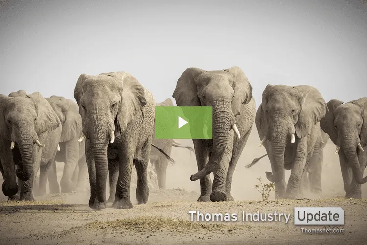 3D Printed, Synthetic Ivory Helping to Save Elephants