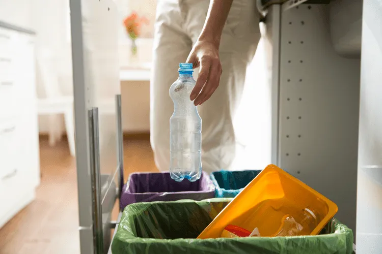4 Innovative Sustainable Food Packaging Solutions