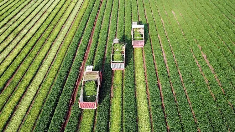 A 4-Step Process for Accelerating the Transition to Sustainable Agriculture