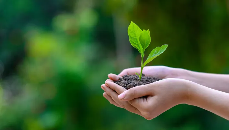 Addressing the Environmental Crisis: Noah Chemicals Modernizes Environmental Remediation