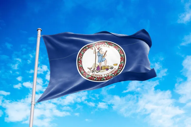 Battery Separator Company Microporous Announces $1.35B Virginia Factory