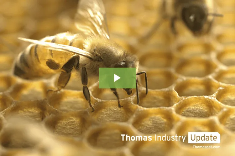Can These Smart Sensors Save the Honey Bees?