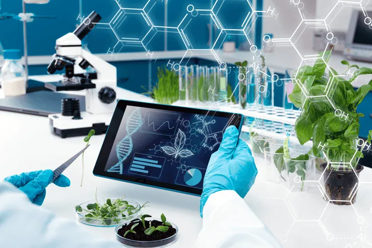 Can We Change Plant DNA to Reduce Carbon Emissions?