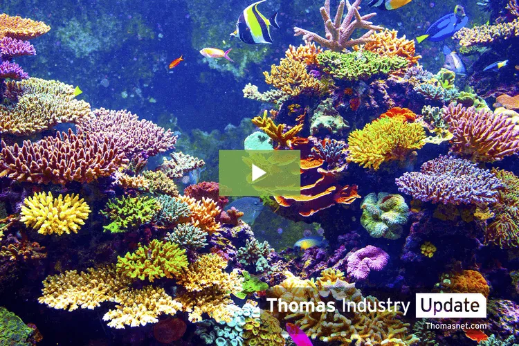 Engineers Use 3D Printing to Speed Up Coral Reef Recovery