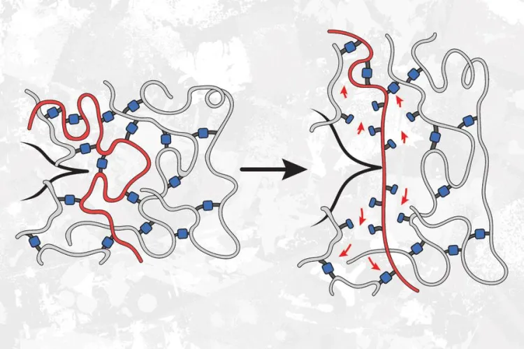 MIT Chemists Discover Way to Make Polymers Stronger