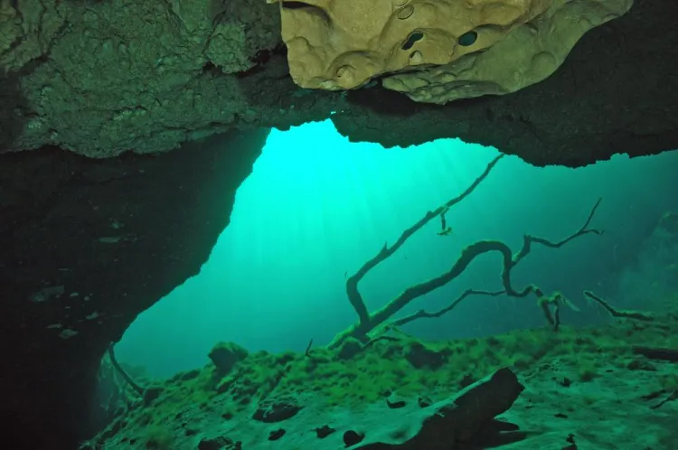 Norway Announces Plan to Mine the Sea Floor