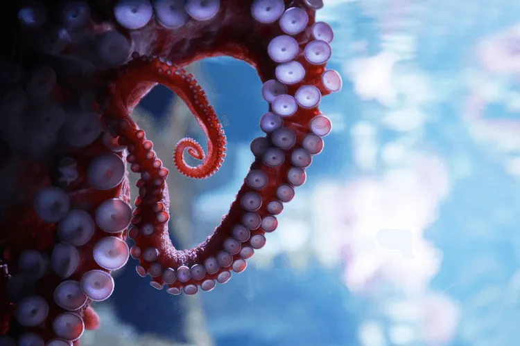 Reconnecting with Nature&rsquo;s R&amp;D: How Biomimicry is Solving Modern Problems