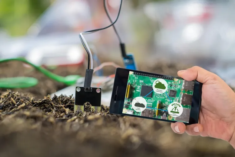 Soil Sensors: Definition, Types, and Benefits