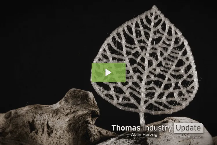 Strong Plant-based Plastic Degrades into Sugars