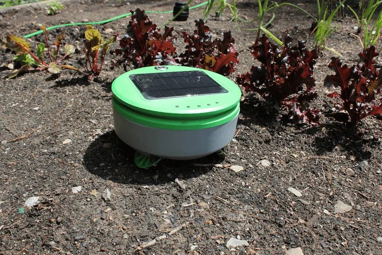The First Step in Robotic Agriculture