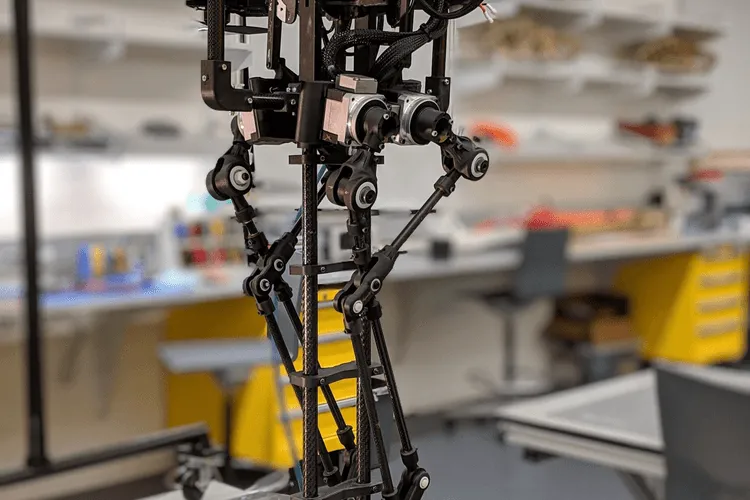 Thrusters Could Take Bird-Inspired Bots to Mars