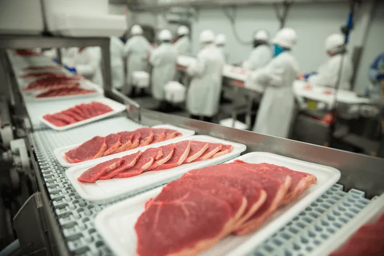 While Slow to Go Mainstream, Cell-based Meat May Solve Meat Industry Challenges