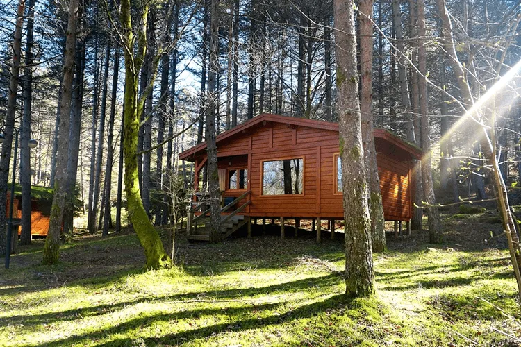Winterizing Your Log Home