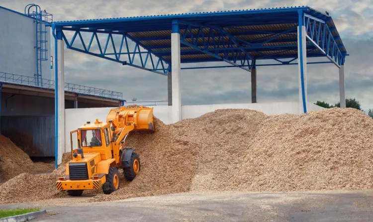 Wood Recycling: Process, Benefits, and Innovations