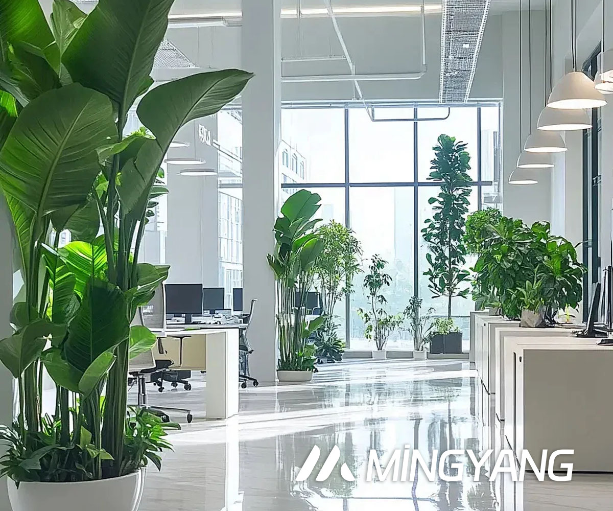 Machinery Insights Insider MingYang Office Region